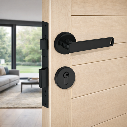 Stainless Steel Rose Handle Lock Set No. 416 Matt Black Finish