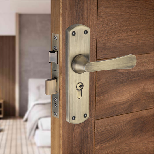 Stainless Steel 8 inch Handle Lock Set No. 410 Brass Antique